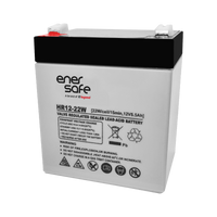 Batería Enersafe 12V 5Ah VRLA AGM para UPS y respaldo de energía – Casher Group Chile 1